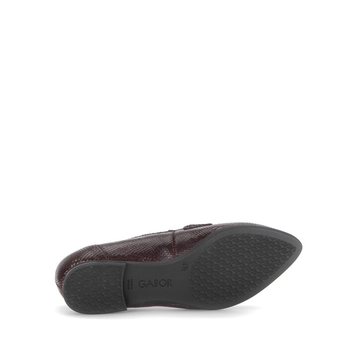 Slipper rot #4