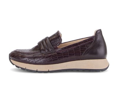Slipper rot