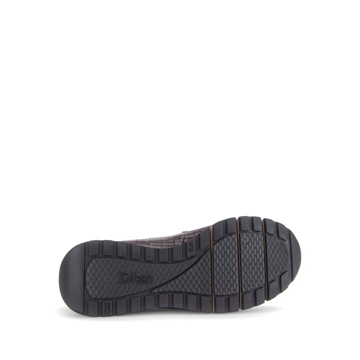 Slipper rot #4