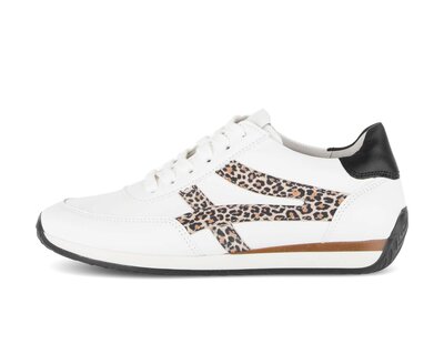 Basket basse multicolore