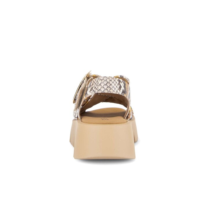 Plateau Sandale multicolour #3