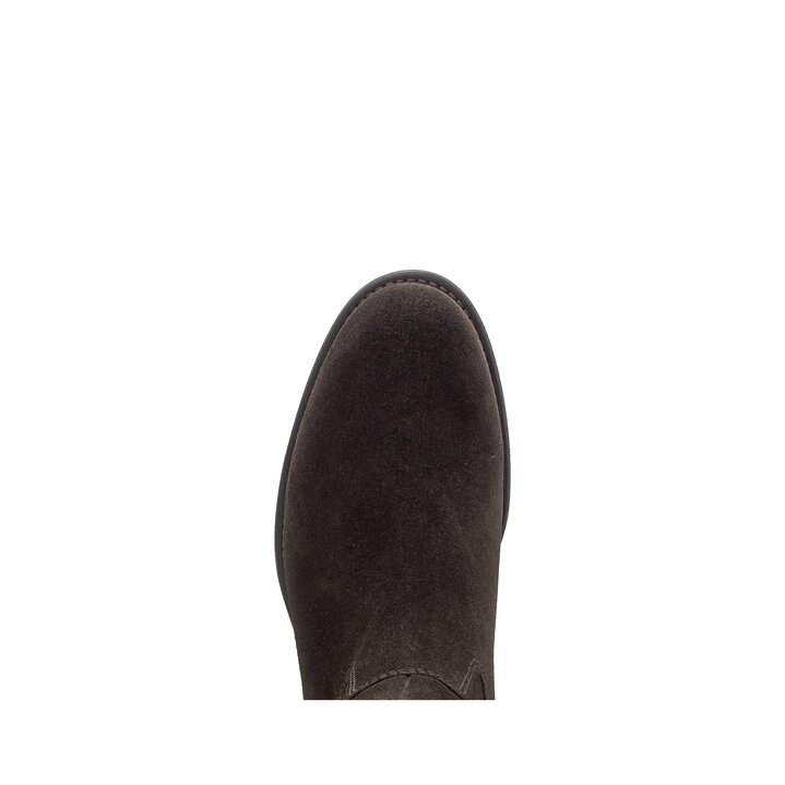 Cavalière marron #5