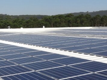 Große Solaranlage auf einem Industriedach, im Hintergrund Bäume.